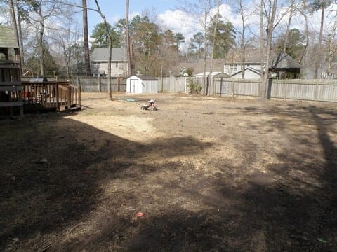 Open backyard after trees were removed and cleaned up