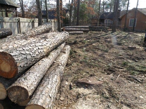 Pine logs stacked in a fenced backyard after removal